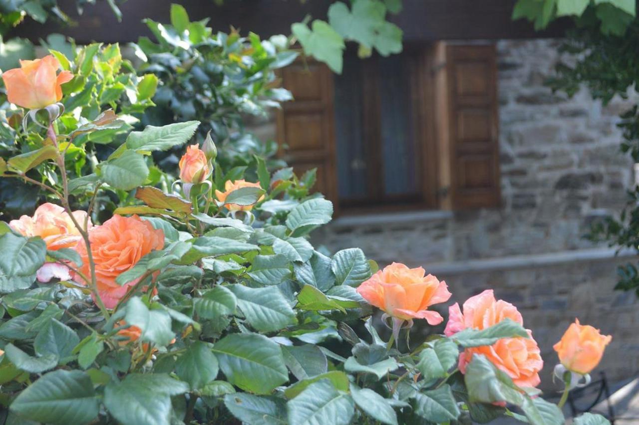 Triantafillies Guesthouse Portaria  Luaran gambar